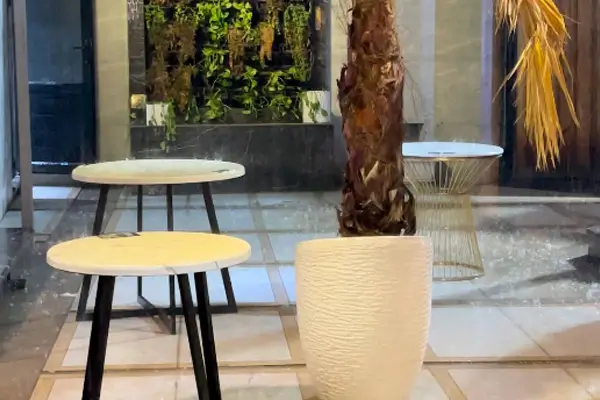 رستوران لو قو (Le Rêve)