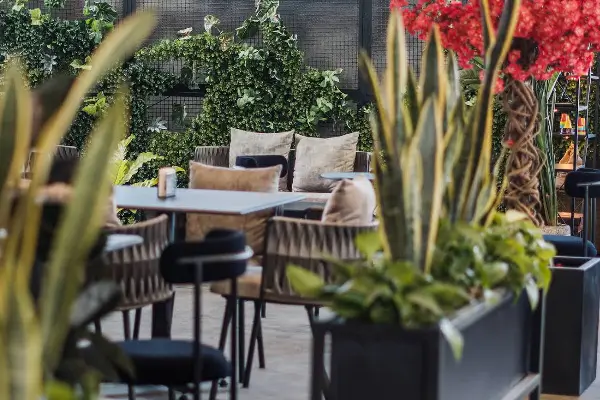 رستوران نوانس